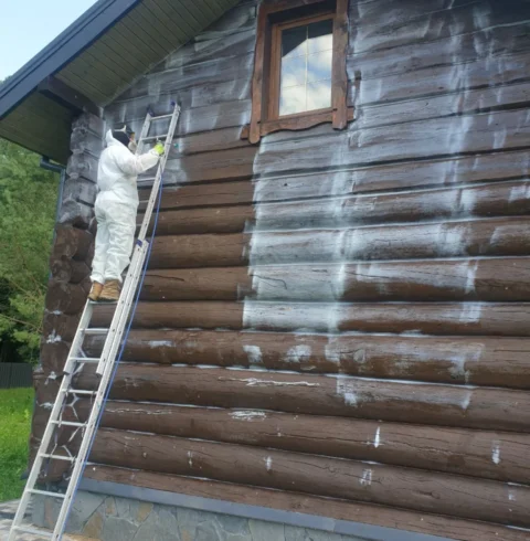 Избавление от жука точильщика с использованием Ксиликс Геля