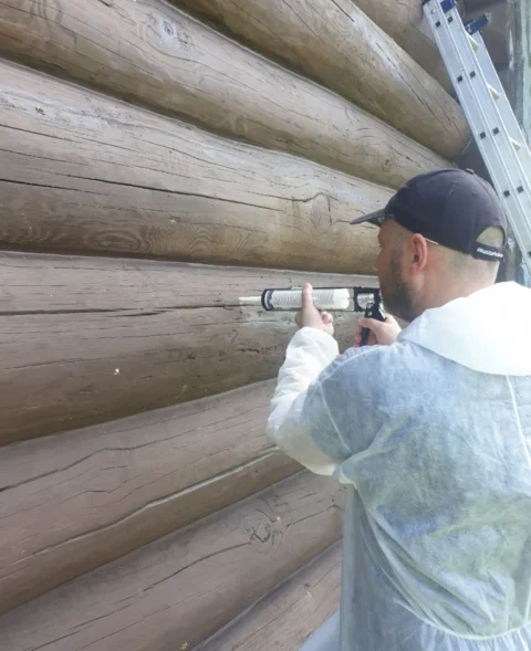 Нанесение тиксотропного геля внутрь древесины для защиты от личинок жука древоточца